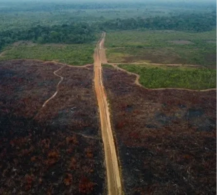 Sales-enablement in MEA with Lactalis and revenue increase YoY